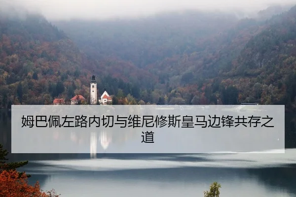 姆巴佩左路内切与维尼修斯皇马边锋共存之道